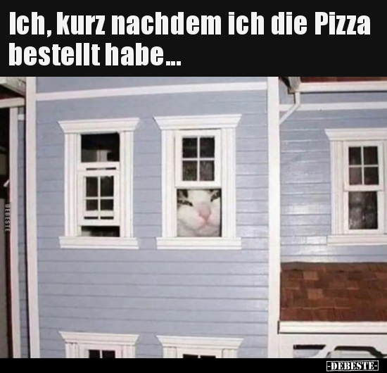 Ich, kurz nachdem ich die Pizza bestellt habe... - Lustige Bilder | DEBESTE.de
