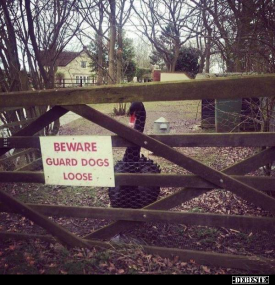 Beware guard dogs loose