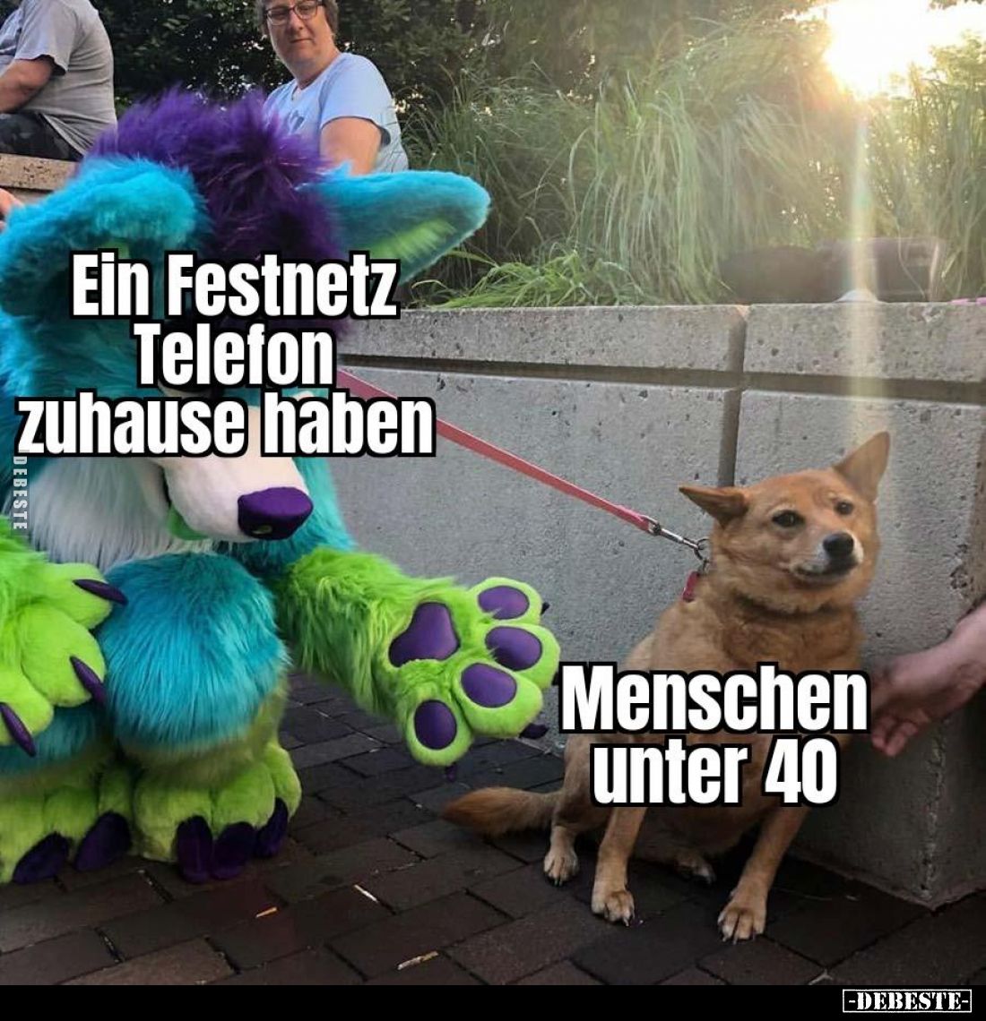 Ein Festnetztelefon zuhause haben
 - 
Menschen unter 40