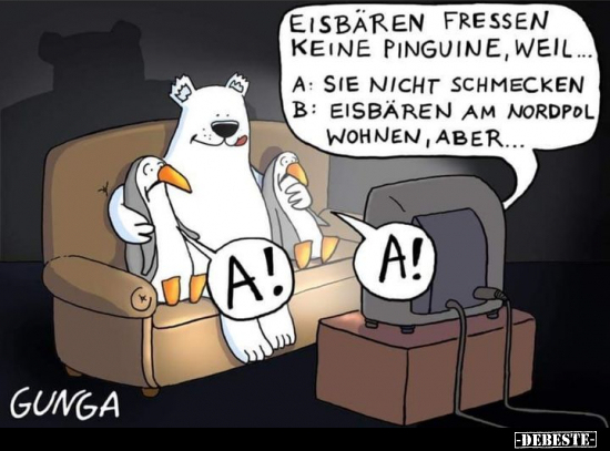 Eisbären fressen keine Pinguine, weil... - Lustige Bilder | DEBESTE.de
