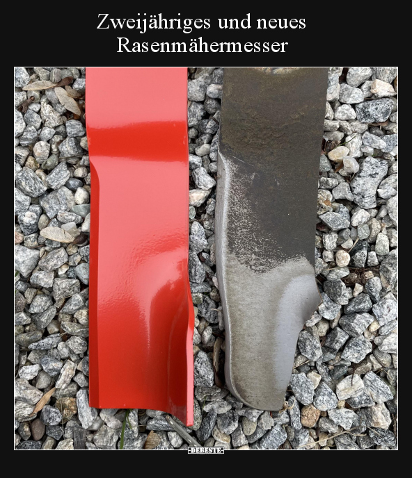 Zweijähriges und neues Rasenmähermesser.. - Lustige Bilder | DEBESTE.de