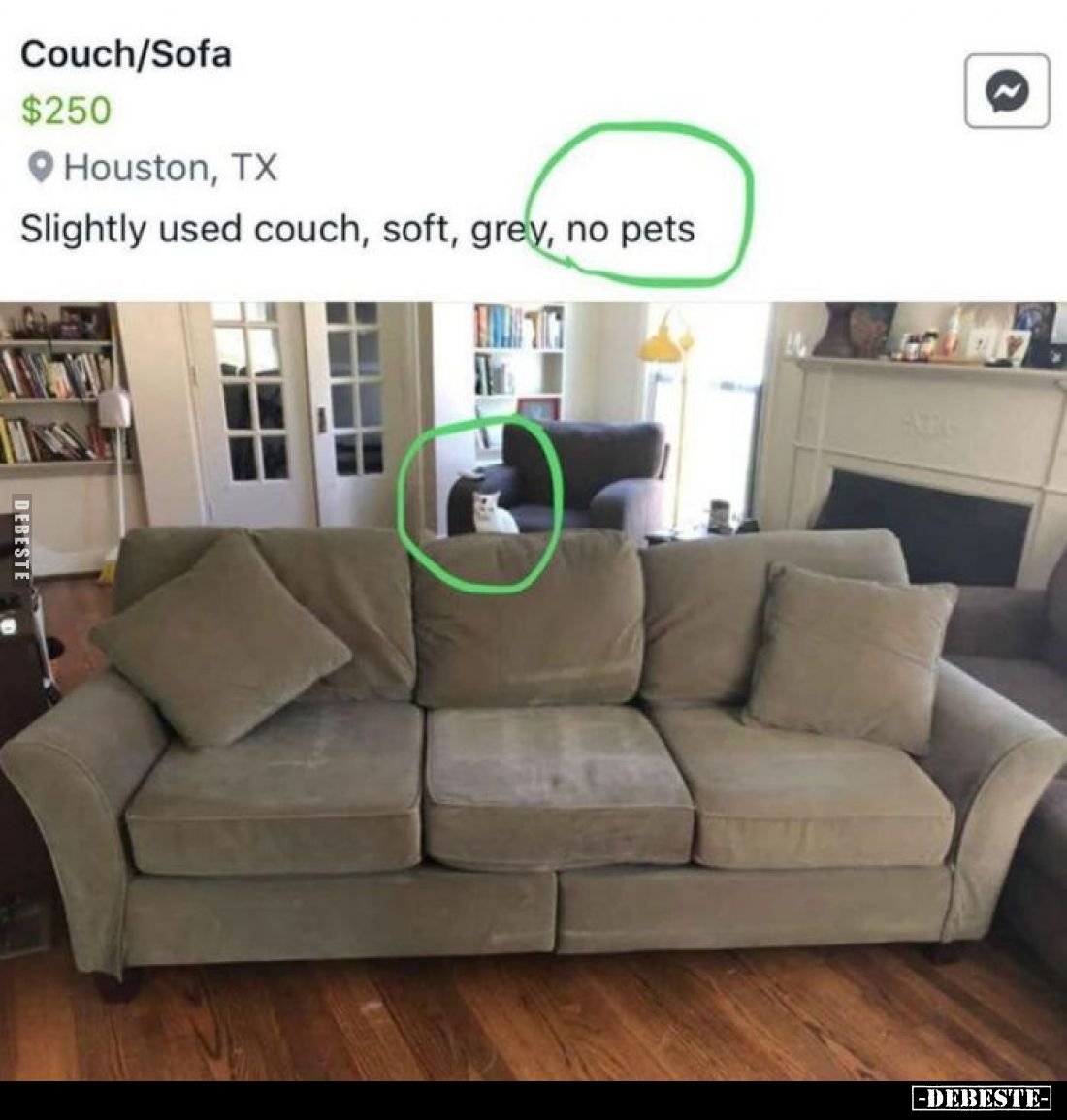 no pets
