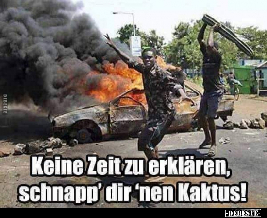 Keine Zeit zu erklären, schnapp' dir 'nen Kaktus!..