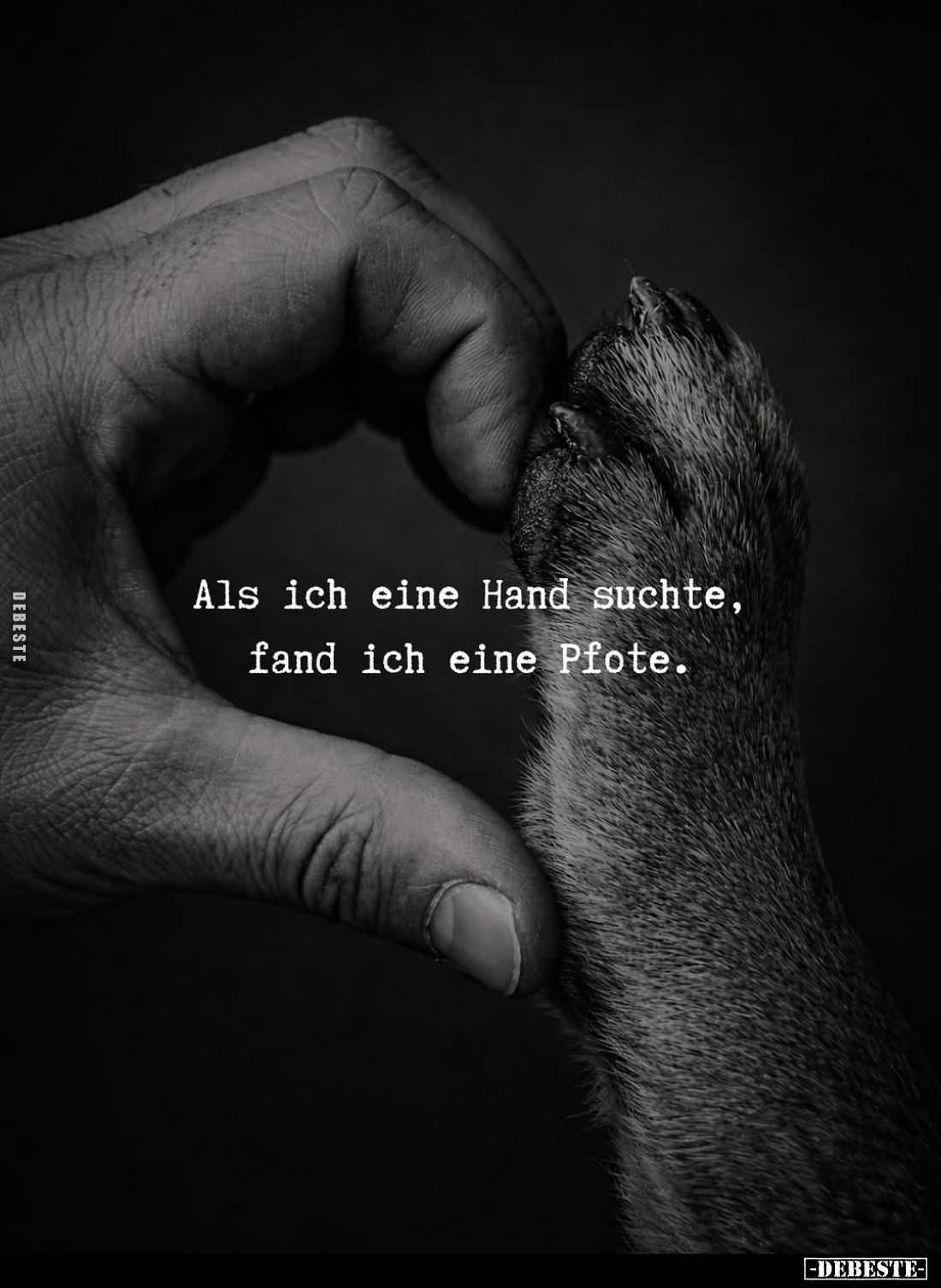 Als ich eine Hand suchte, fand ich eine Pfote... - Lustige Bilder | DEBESTE.de