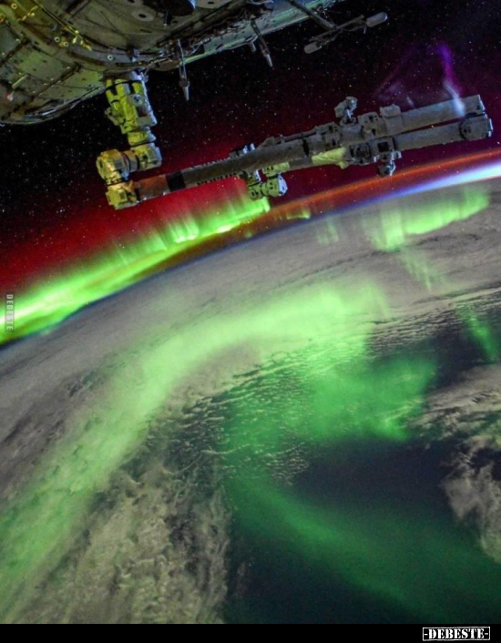  - Lustige Bilder | DEBESTE.de