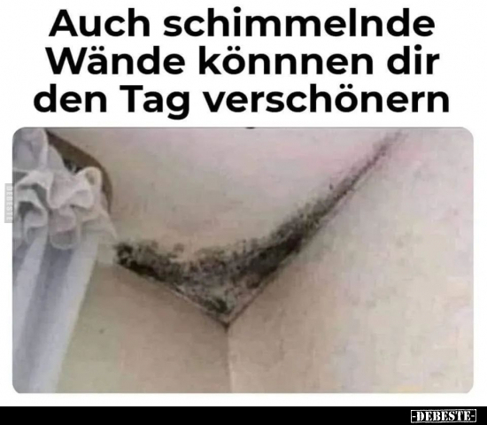 Auch schimmelnde Wände könnnen dir den Tag verschönern.. - Lustige Bilder | DEBESTE.de