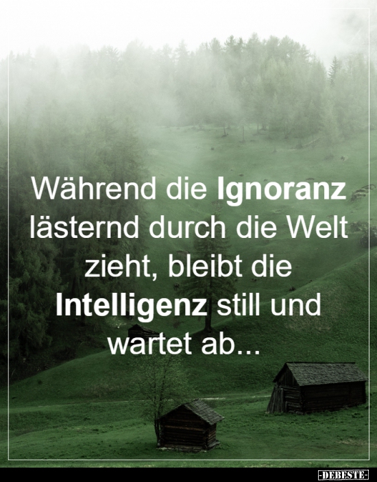 Während die Ignoranz lästernd durch die Welt zieht.. - Lustige Bilder | DEBESTE.de