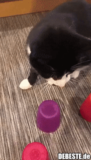 So, jetzt mach ich dich kalt!