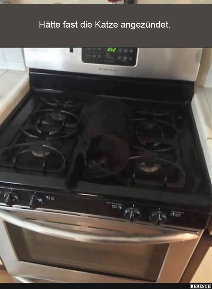 Hätte fast die Katze angezündet..