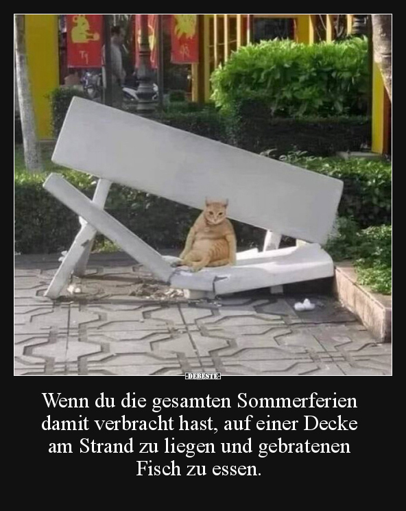 Wenn du die gesamten Sommerferien damit verbracht hast.. - Lustige Bilder | DEBESTE.de