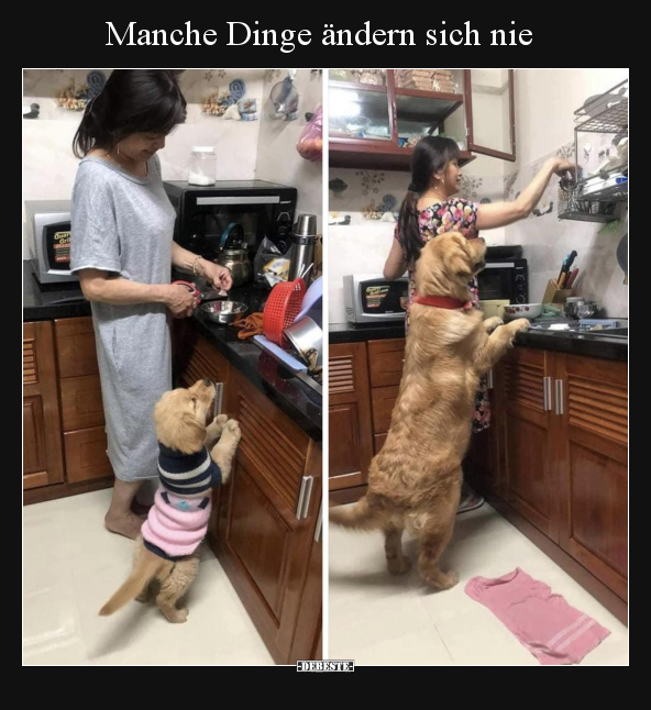Manche Dinge ändern sich nie..