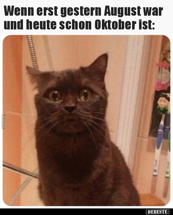 Wenn erst gestern August war und heute schon Oktober.. - Lustige Bilder | DEBESTE.de