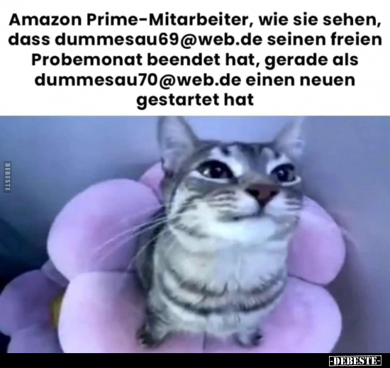 Amazon Prime-Mitarbeiter, wie sie sehen.. - Lustige Bilder | DEBESTE.de