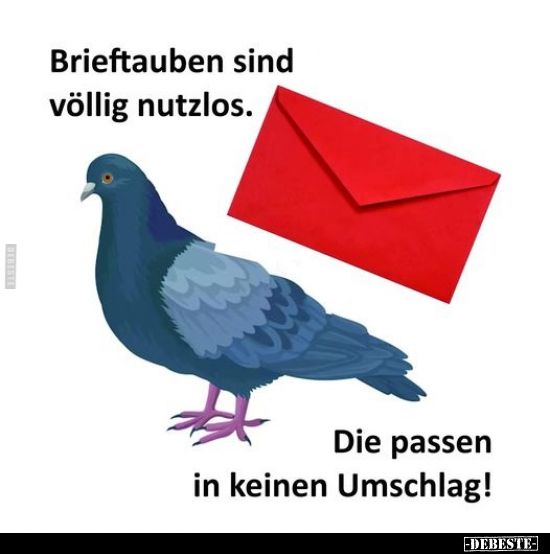 Brieftauben sind völlig nutzlos.. - Lustige Bilder | DEBESTE.de