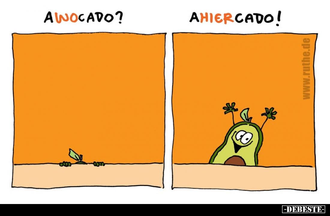 AWOCADO?
AHIERCADO!