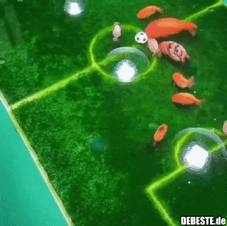 Endlich wieder Sport!