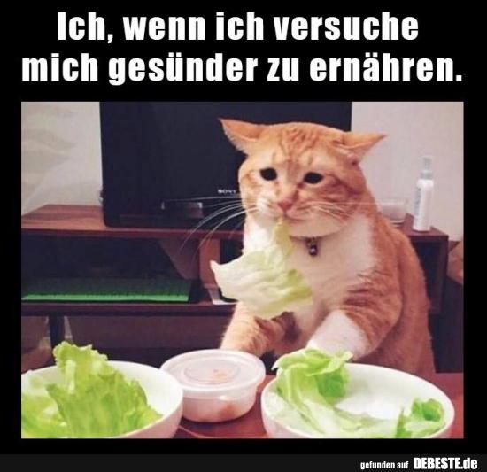 Ich, wenn ich versuche mich gesünder zu ernähren.