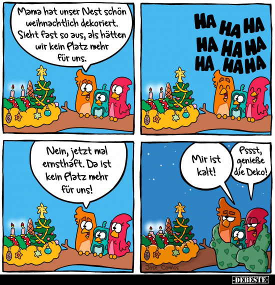 Mama hat unser Nest schön weihnachtlich dekoriert.. - Lustige Bilder | DEBESTE.de