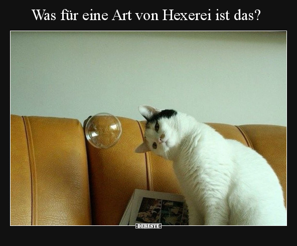 Was für eine Art von Hexerei ist das?.. - Lustige Bilder | DEBESTE.de