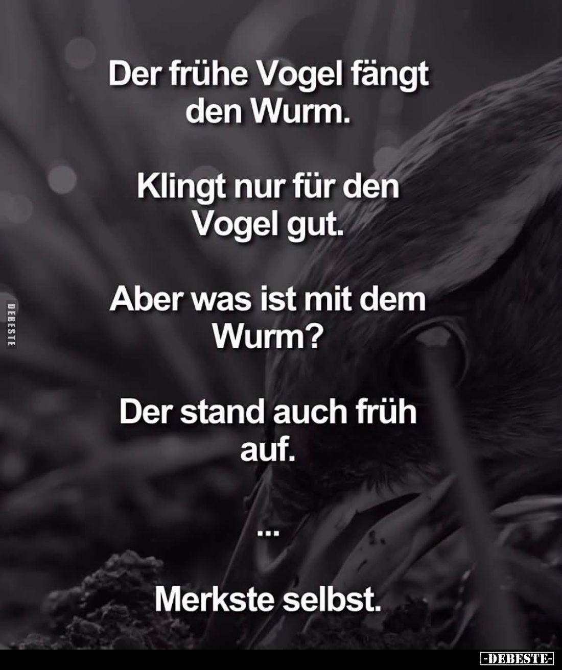 Der frühe Vogel fängt den Wurm.
Klingt nur für den Vogel gut.
Aber was ist mit dem Wurm?
Der stand auch früh auf.
...
Me...