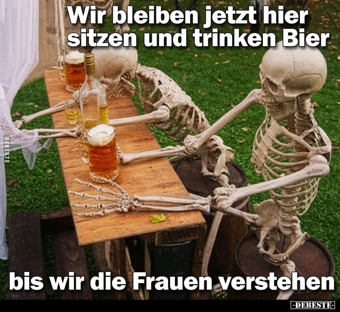 Wir bleiben jetzt hier sitzen und trinken Bier
bis wir die Frauen verstehen.
