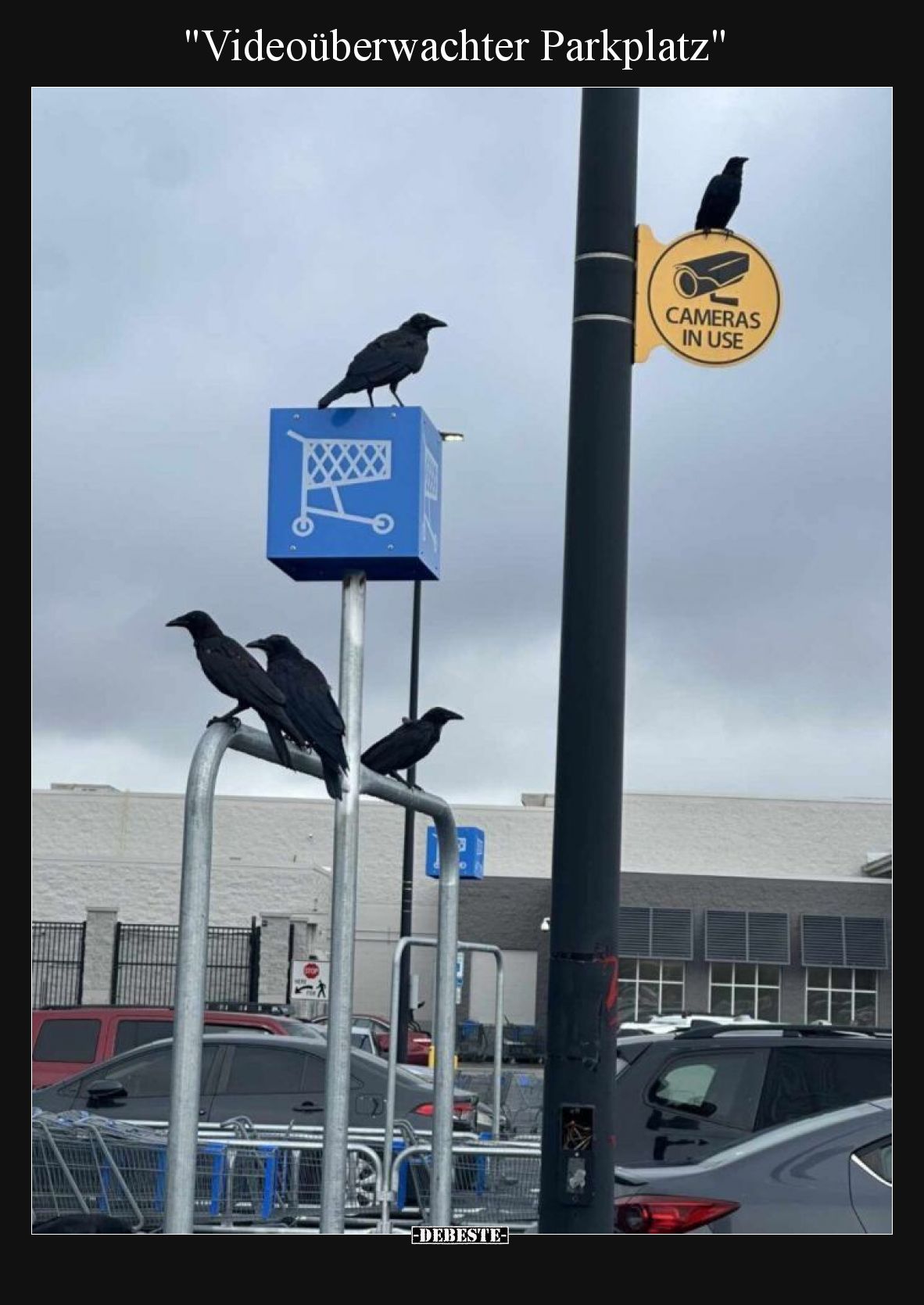 "Videoüberwachter Parkplatz".. - Lustige Bilder | DEBESTE.de