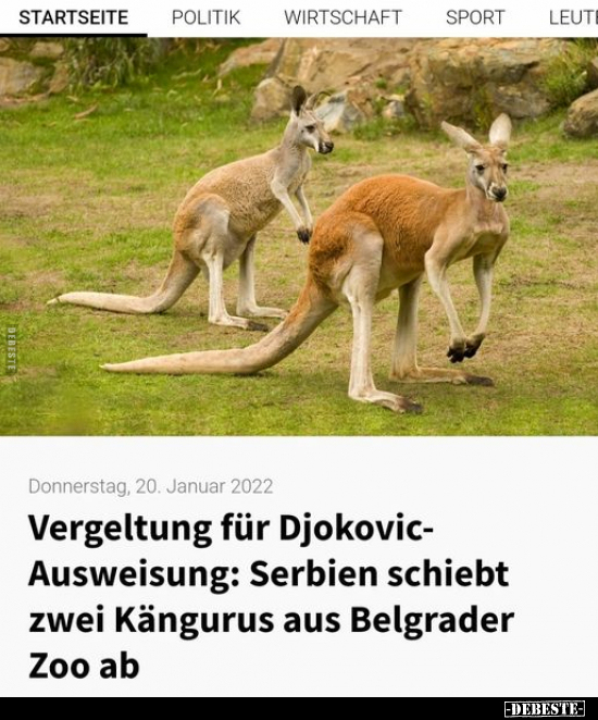 Vergeltung für Djokovic-Ausweisung: Serbien schiebt zwei.. - Lustige Bilder | DEBESTE.de