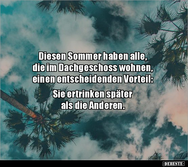 Diesen Sommer haben alle, die im Dachgeschoss wohnen.. - Lustige Bilder | DEBESTE.de