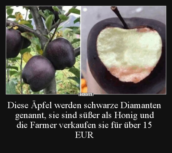 Diese Äpfel werden schwarze Diamanten genannt, sie sind.. - Lustige Bilder | DEBESTE.de