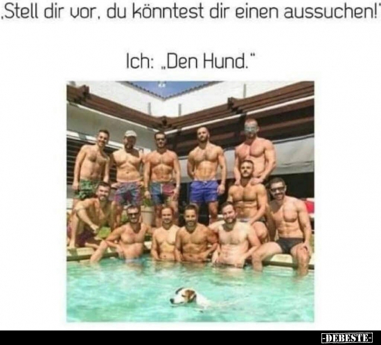 Stell dir vor, du könntest dir einen aussuchen!..