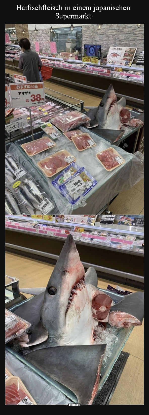 Haifischfleisch in einem japanischen Supermarkt.. - Lustige Bilder | DEBESTE.de