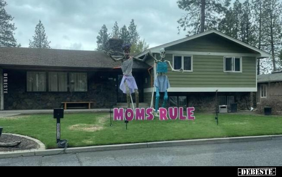  - Lustige Bilder | DEBESTE.de