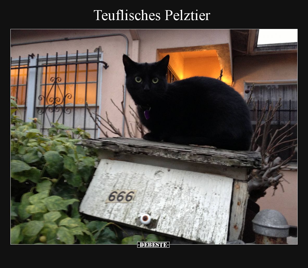 Teuflisches Pelztier