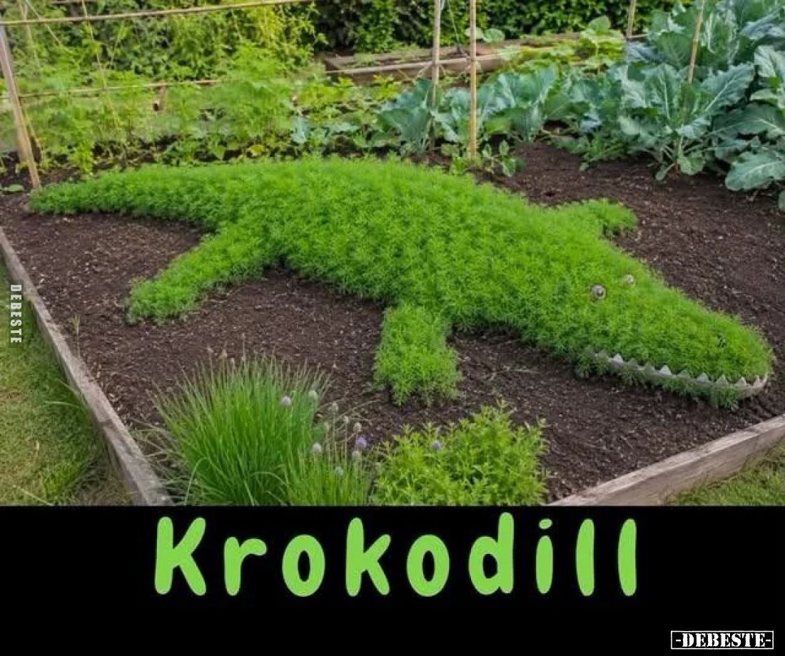 Krokodill.