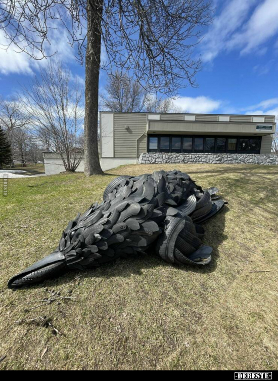  - Lustige Bilder | DEBESTE.de