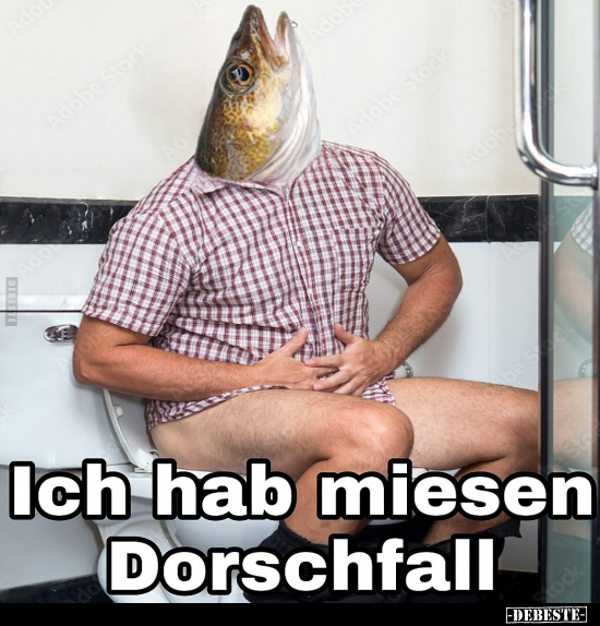 Lustige Bilder zum Thema: 