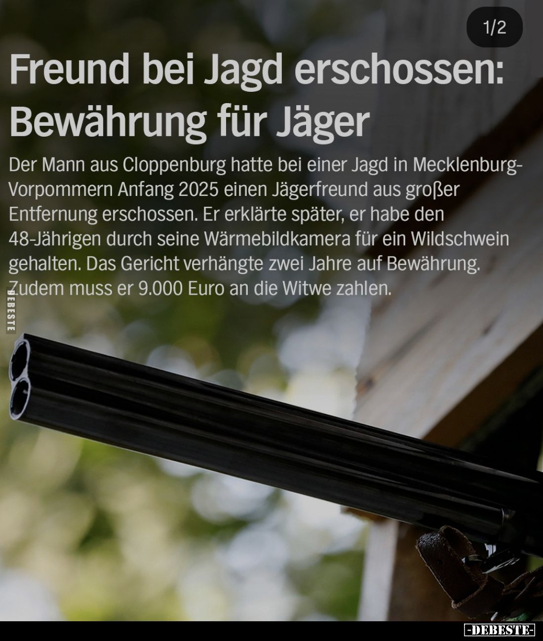 Freund bei Jagd erschossen: Bewährung für Jäger.
Der Mann aus Cloppenburg hatte bei einer Jagd in Mecklenburg-Vorpommern A...
