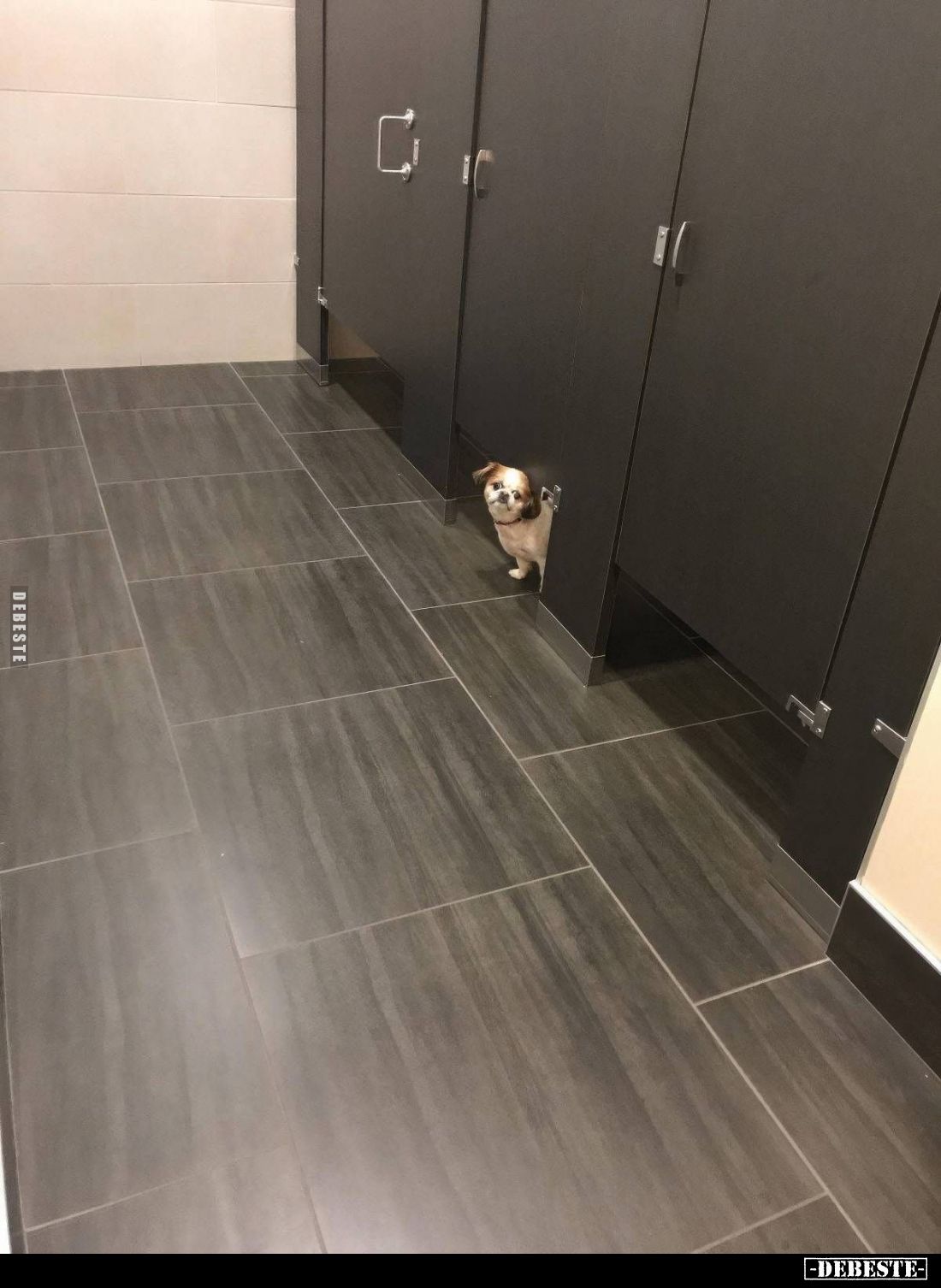  - Lustige Bilder | DEBESTE.de