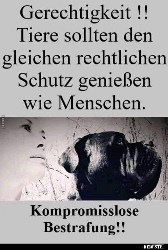 Gerechtigkeit !! Tiere sollten den gleichen rechtlichen.. - Lustige Bilder | DEBESTE.de