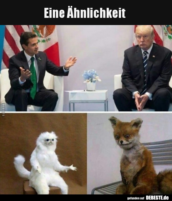 Eine Ähnlichkeit..