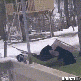  - Lustige Bilder | DEBESTE.de