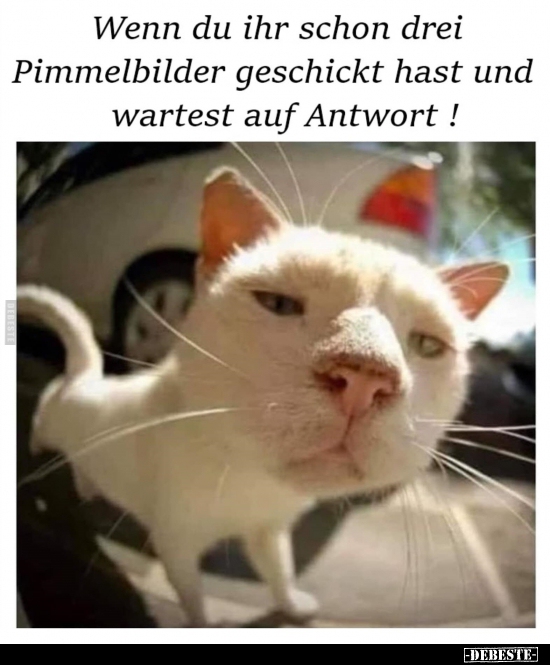 Wenn du ihr schon drei Pimmelbilder geschickt hast.. - Lustige Bilder | DEBESTE.de