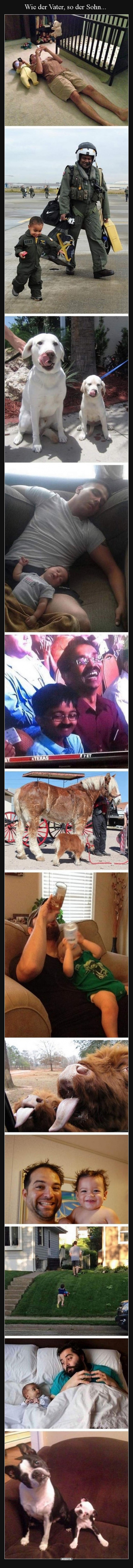 Wie der Vater, so der Sohn...