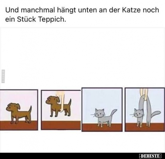 Und manchmal hängt unten an der Katze noch ein Stück.. - Lustige Bilder | DEBESTE.de