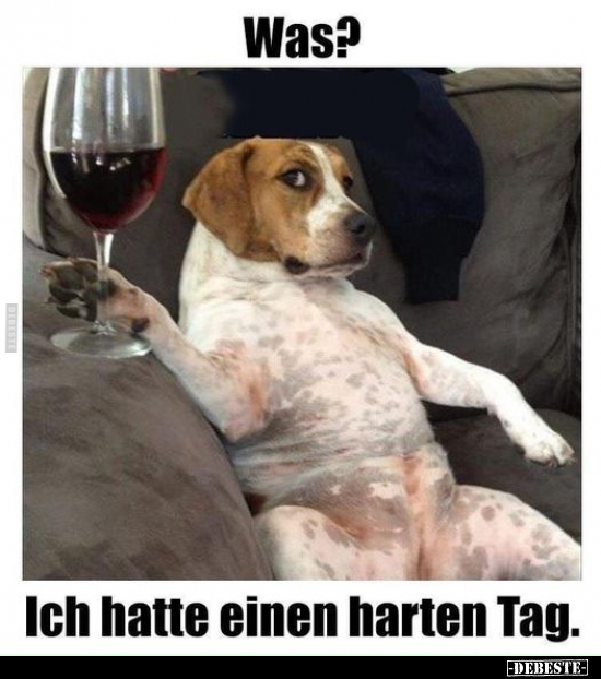 Was? Ich hatte einen harten Tag... - Lustige Bilder | DEBESTE.de