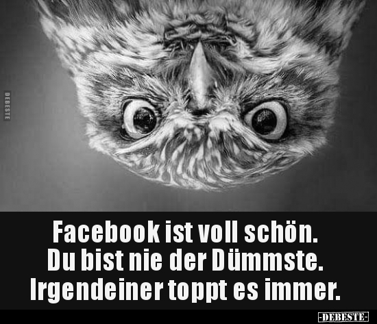 Facebook ist voll schön.. - Lustige Bilder | DEBESTE.de