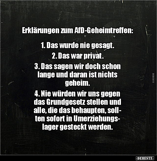 Erklärungen zum AfD-Geheimtreffen.. - Lustige Bilder | DEBESTE.de
