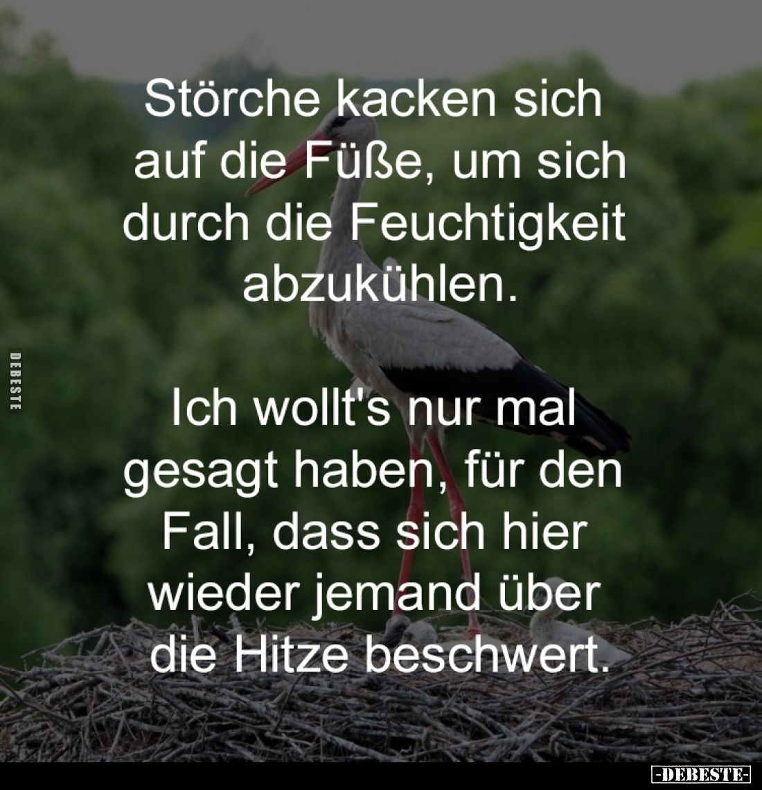 Störche kacken sich 
auf die Füße, um sich
durch die Feuchtigkeit 
abzukühlen.

Ich wollt's nur mal 
gesagt haben, für ...