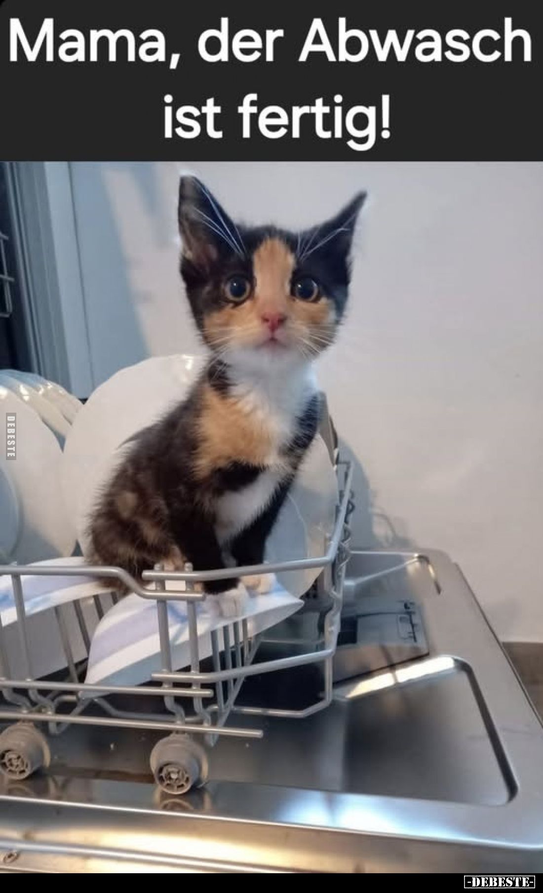 Mama, der Abwasch ist fertig!