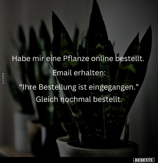 Habe mir eine Pflanze online bestellt.. - Lustige Bilder | DEBESTE.de